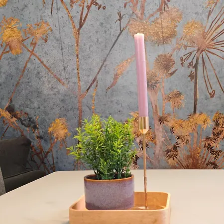 Apartment Campus Lofts By Ala Living - Zentral In Biberach - 5min Zur Altstadt